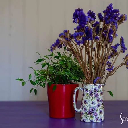 דירה Sardegna Homes Il Glicine